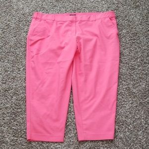 Lane Bryant Lena Modernist Career Ankle Pant Coral